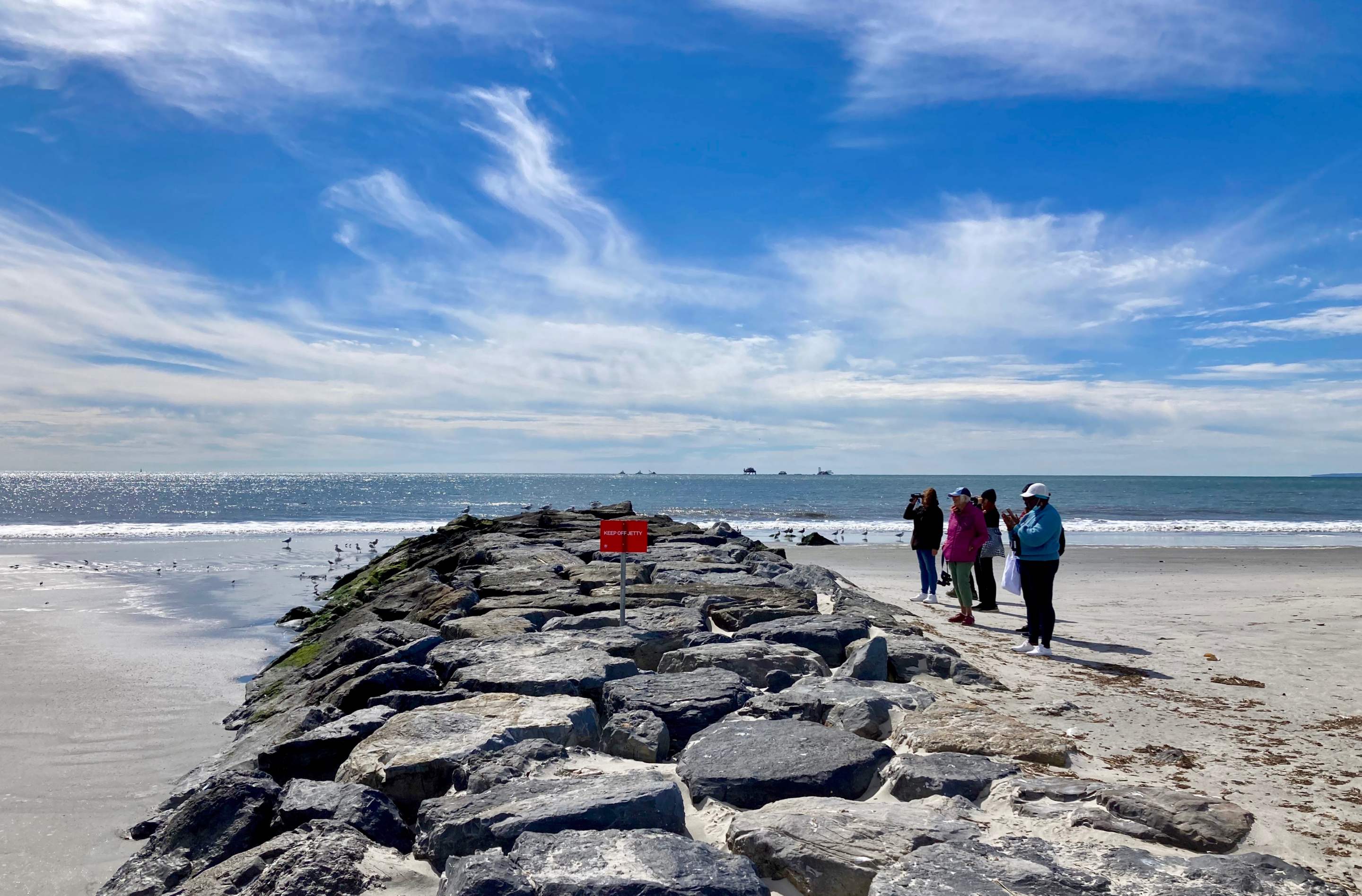 Winter Bird Walk 2.0 with NYC Plover Project preview