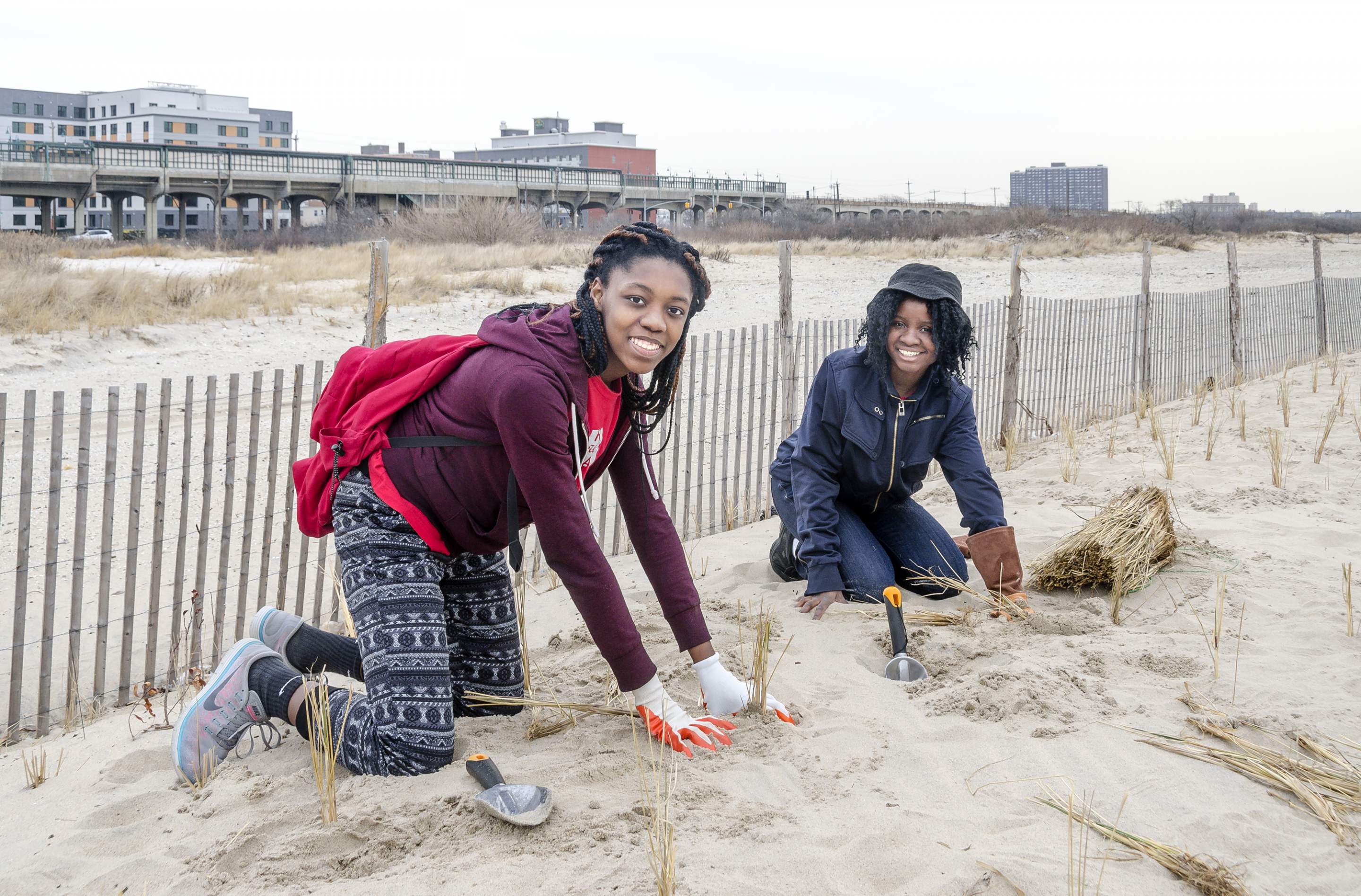 Fall Dune Planting preview